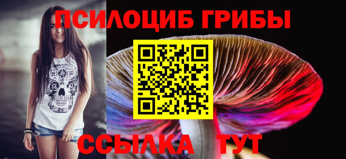 Галлюциногенные грибы прущие грибы  Вход с VPN  Пыть-Ях 