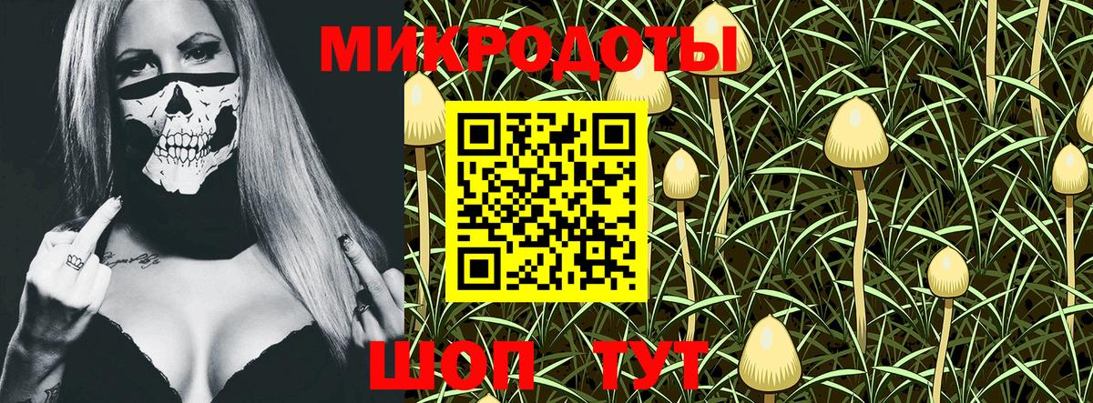 Псилоцибиновые грибы GOLDEN TEACHER Пыть-Ях